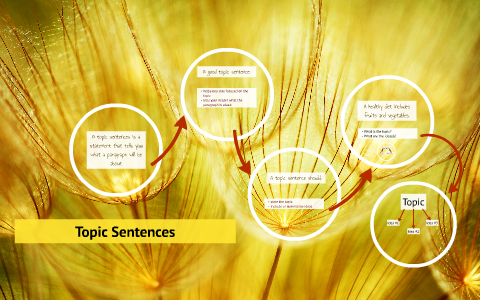 topic sentences and transitions