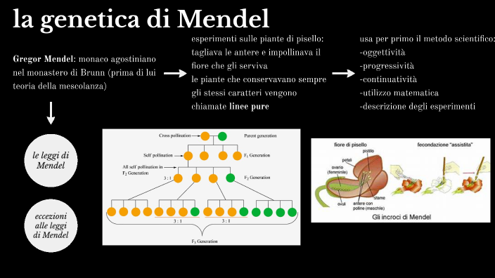 la genetica di Mendel by Caterina Capelli