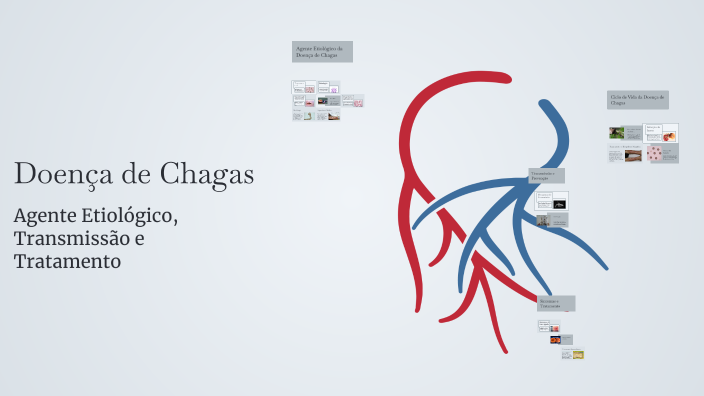 Doença de Chagas by lemuDDyni on Prezi