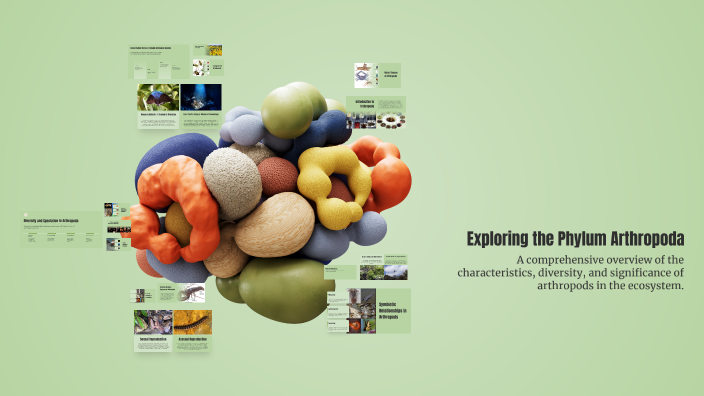 Exploring the Phylum Arthropoda by Angel Betita on Prezi