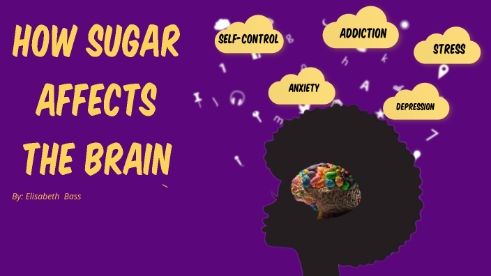 write an informative essay about how sugar affects the brain