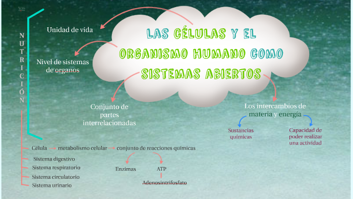 Las Células Y El Organismo Humano Como Sistemas Abiertos By Vanessa Galicia On Prezi 7917