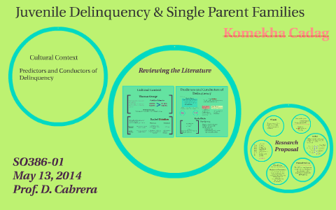 Single Parent Families Cause Juvenile Crime