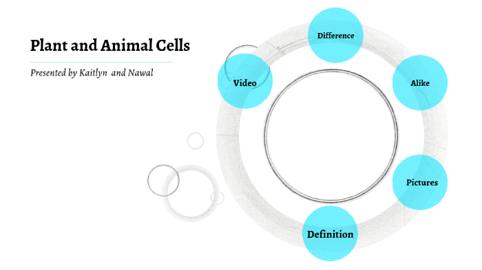 plant and animal in class project by Kaitlyn Kerchoff on Prezi
