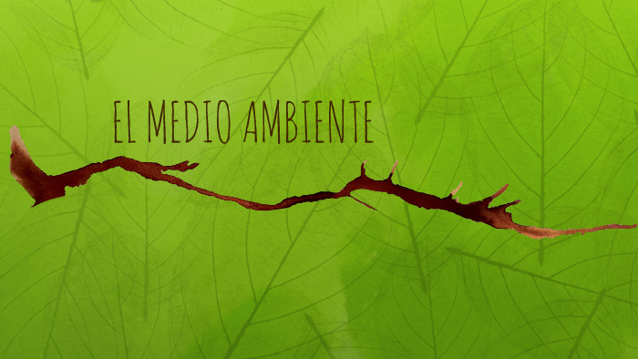 EL MEDIO AMBIENTE by Cynthia Brizuela on Prezi