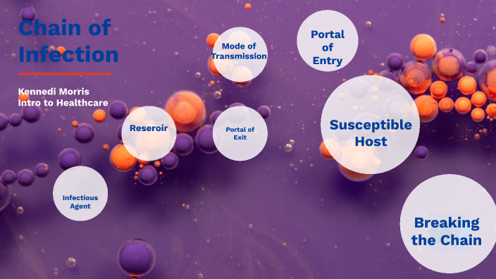 Chain of Infection by Mary Elizabeth Morris on Prezi