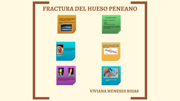 by viviana rojas on Prezi