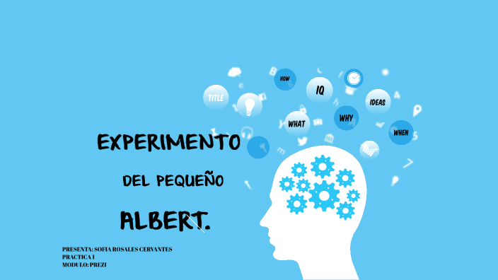 Experimento Del Pequeño Albert By Sofía Rosales Cervantes On Prezi