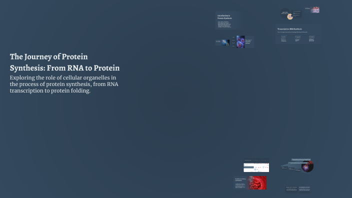 The Journey of Protein Synthesis: From RNA to Protein by M W on Prezi