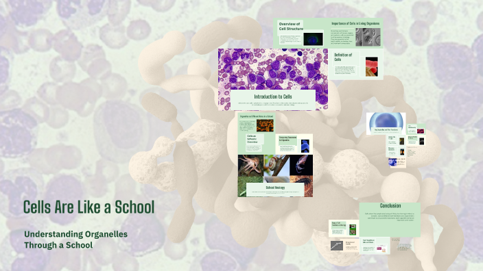 Cells Are Like a School by joy song on Prezi