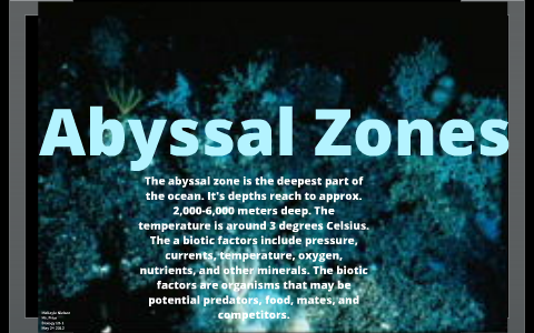 Abyssal Zones by Makayla Nielsen on Prezi