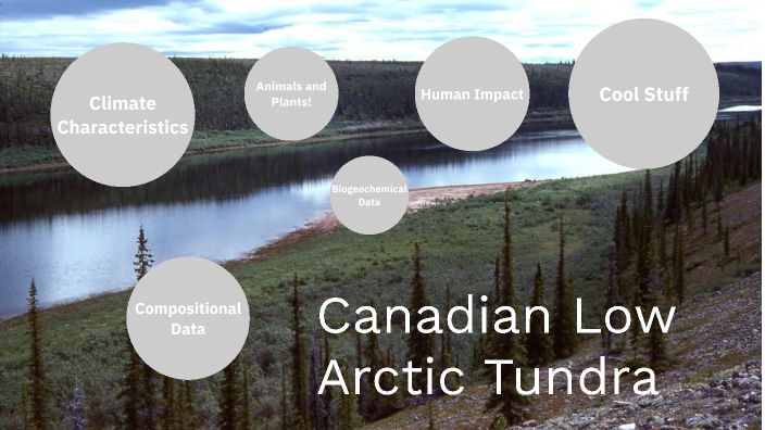 Canadian Biomes by Harrison Lord on Prezi