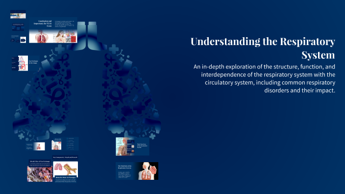 Understanding the Respiratory System by Joe Aye on Prezi