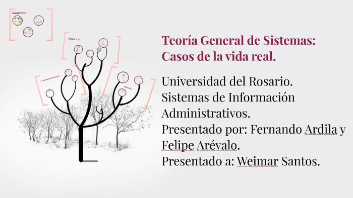 Teoría General De Sistemas Casos De La Vida Real By Juan Ardila On Prezi