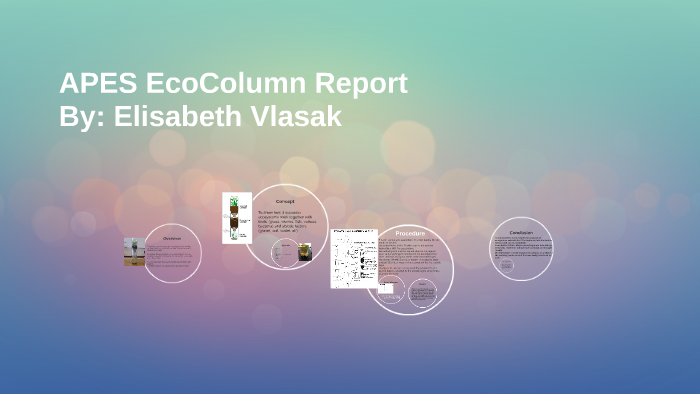 APES EcoColumn Report by elisabeth vlasak on Prezi