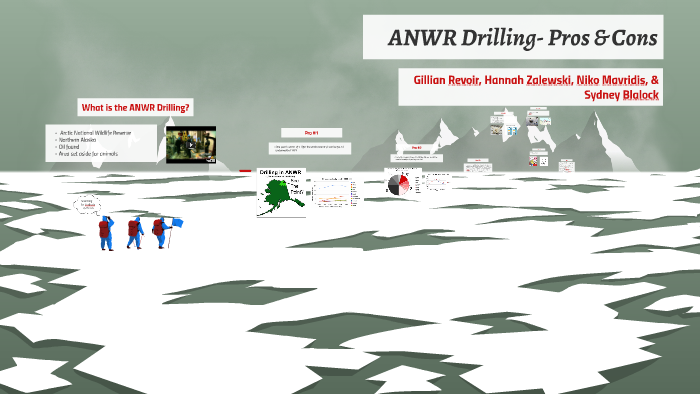 write an essay taking a stand on drilling within anwr