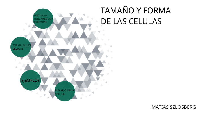 TAMAÑO Y FORMA DE LAS CELULAS by matias szlosberg on Prezi