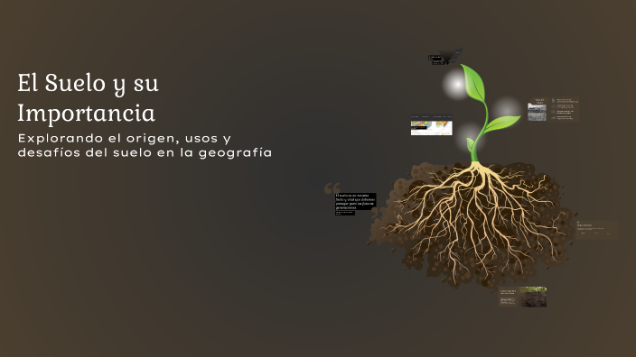 El Suelo y su Importancia by Julissa Avilez on Prezi