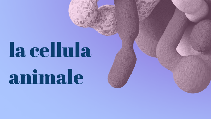 cellula animale by marta manenti on Prezi