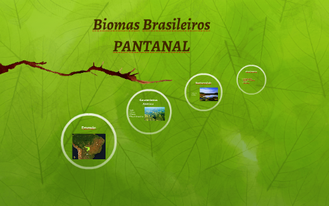 Biomas Brasileiros by matheus paulo on Prezi