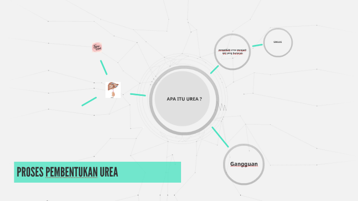 PROSES PEMBENTUKAN UREA by kezia kotambunan on Prezi