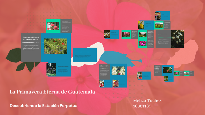 La Primavera Eterna de Guatemala by Meliza Túchez on Prezi