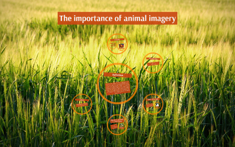The Importance Of Animal Imagery By Mary Bradshaw