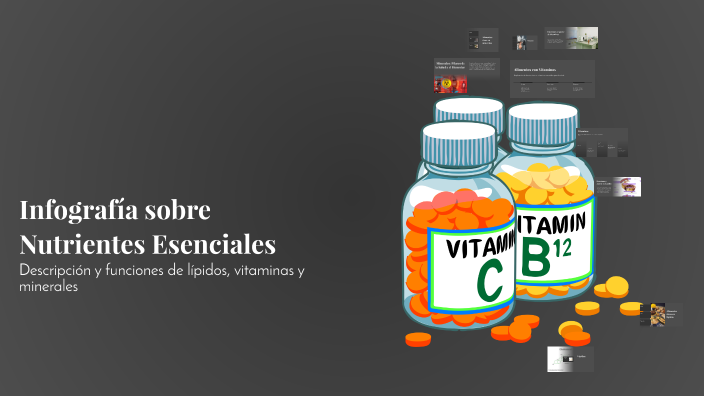 Infografía Sobre Nutrientes Esenciales By Miguel Blanco Hernandez 17693