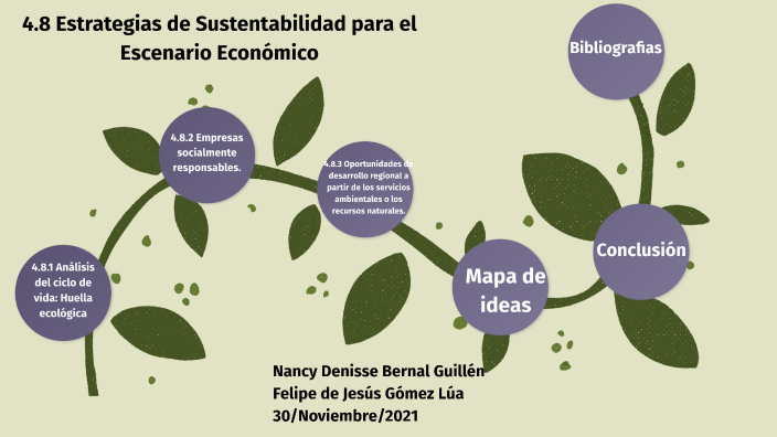 4.8 estrategias de sustentabilidad para el escenario económico by