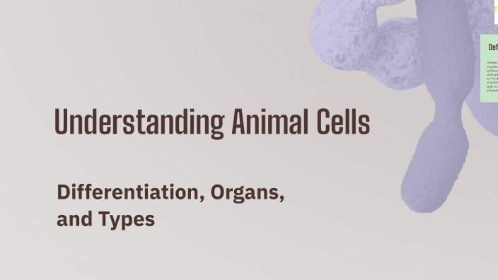 Understanding Animal Cells by Budoor. Download on Prezi