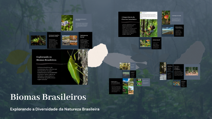 Biomas Brasileiros by andre gabriel lopes soares on Prezi
