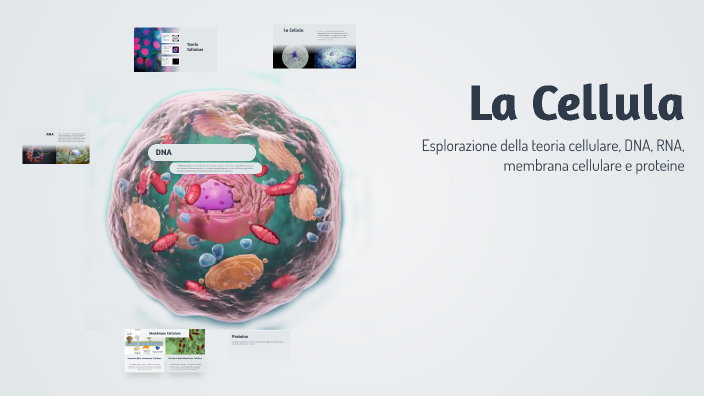 La Cellula by Cristian Di stefano on Prezi