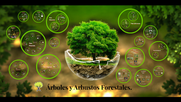 Arboles y Arbustos Forestales. Presentar. by Ann Nivela Campos