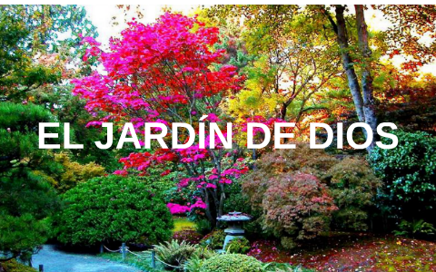 El Jardin De Dios By Angela Alzate