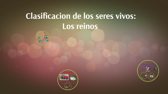 clasificacion de los eres vivos by sandra moreno