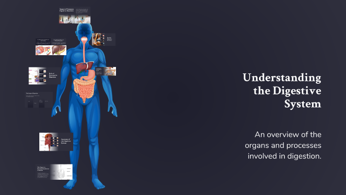 Understanding the Digestive System by CHARLIE PLANG-AT on Prezi