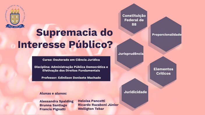 Supremacia do Interesse Público? by Brunna Rabelo Santiago