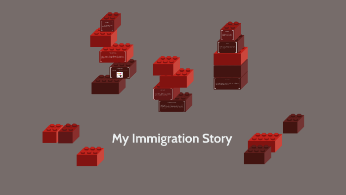 my immigration story tracker