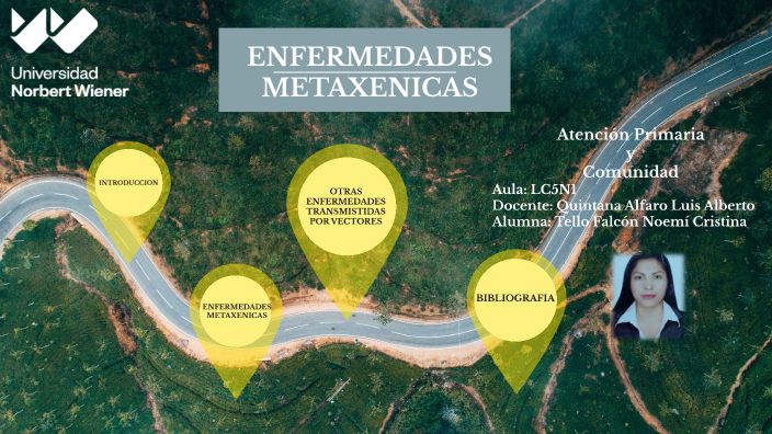 ENFERMEDADES METAXENICAS by Cristina Tello on Prezi