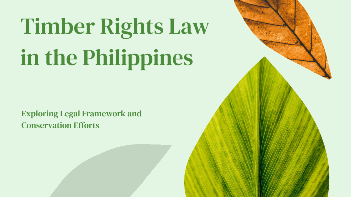 Timber Rights Process Timber Rights Law in the Philippines by Renzel Rarang on Prezi