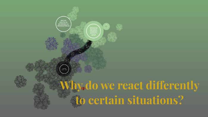 Why do we react differently to certain situations by SOFIA Morett on Prezi