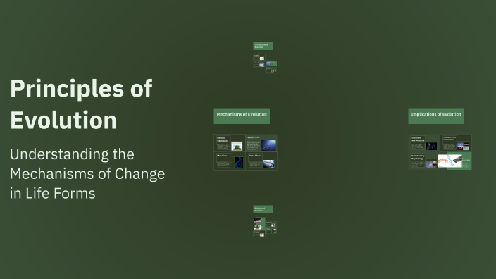Principles of Evolution by Szymon Kochański on Prezi