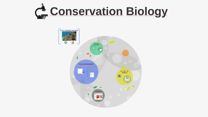 conservation-biology-by-angela-randazzo