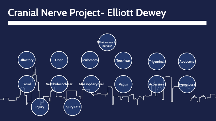 Cranial Nerves Project by Charles Dewey _ Student - ApexFriendsh on Prezi