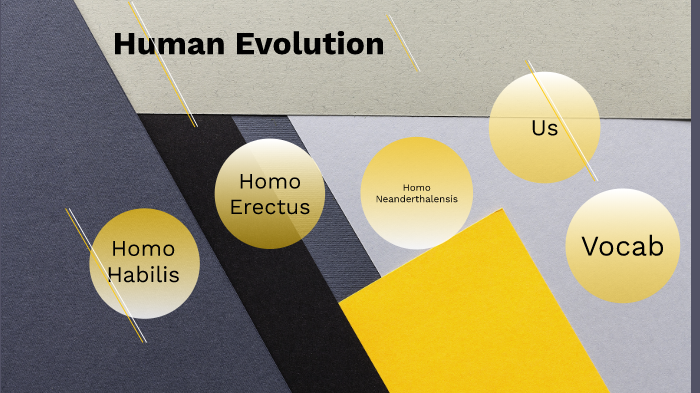 Human Evolution by Adam Trueman on Prezi