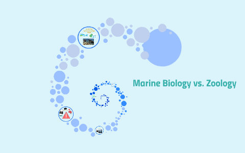 Marine Biology vs. Zoology by Lindsey Lyles