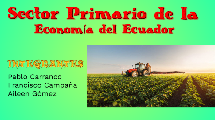 Sector Primario De La Economía Del Ecuador By Aileen Gómez On Prezi 3275