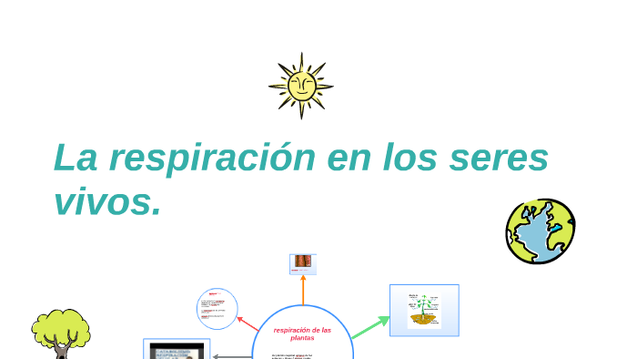 La Respiración En Los Seres Vivos. By Nicolas David Moreno