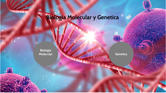 Biología Molecular y Genética by Angelica Ramos on Prezi