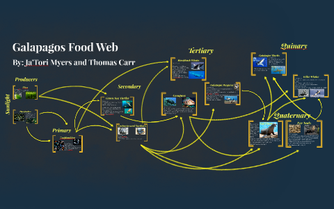 Galapagos Food Web By Ja'Tori Myers On Prezi